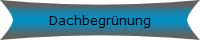 Dachbegrnung