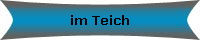 im Teich