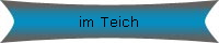 im Teich